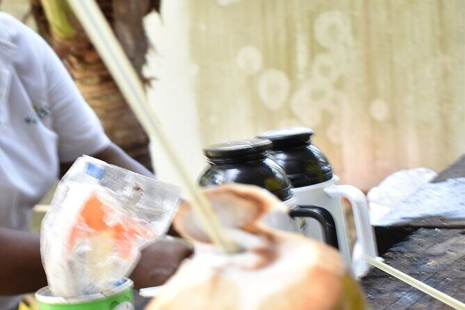 Full day tour of the mangrove swamp and mud volcano in Cartagena - Key Points