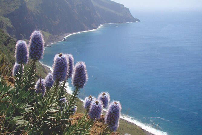 Full Day Tour of the West Zone of Madeira - FAQ