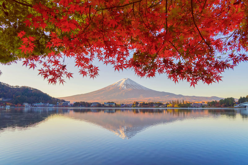 Full-Day Tour of Tokyo, Mount Fuji, and Lake Kawaguchi - From Shinjuku to the Fuji Five Lakes