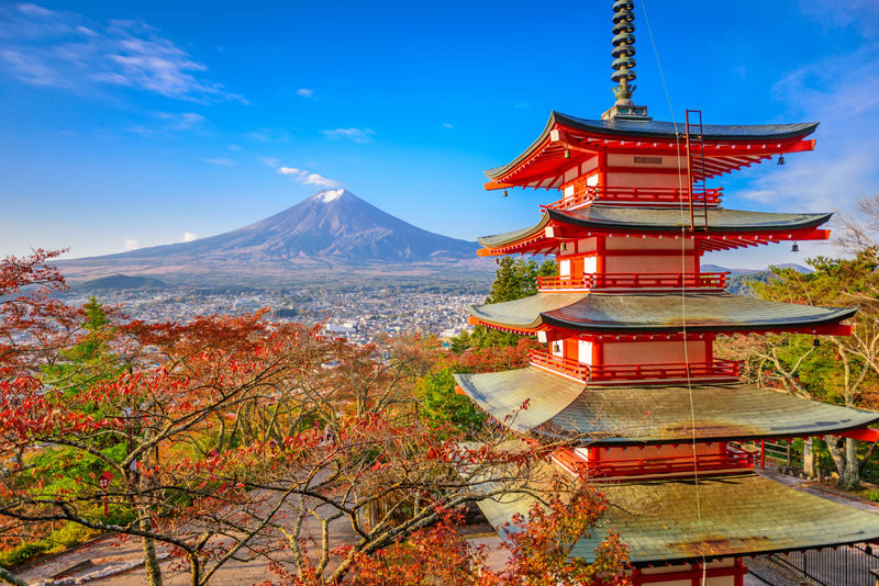 Full-Day Tour of Tokyo, Mount Fuji, and Lake Kawaguchi - Matcha with a Fuji-area view