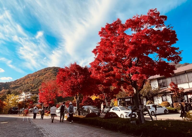 Full-Day Tour of Tokyo, Mount Fuji, and Lake Kawaguchi - Three hours at Gotemba Premium Outlets