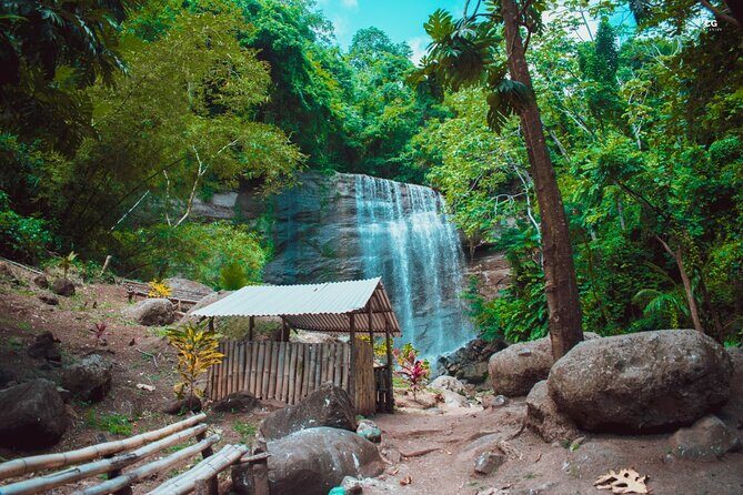 Full Day Tour - Popular Sites Grenada, Belmont Estate, Rain Forest and More - Exploring the Full Day Tour in Depth