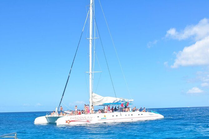 Full Day Tour Saona Island by speedboat from Punta Cana - Key Points