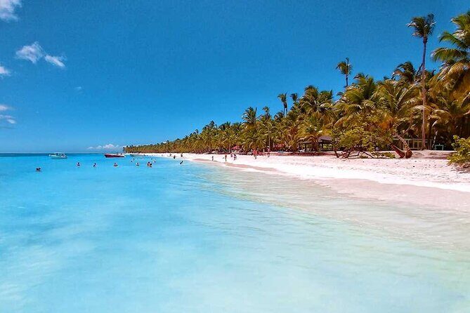 Full Day Tour Saona Island by speedboat from Punta Cana - Exploring the Full Day Tour Saona Island by Speedboat
