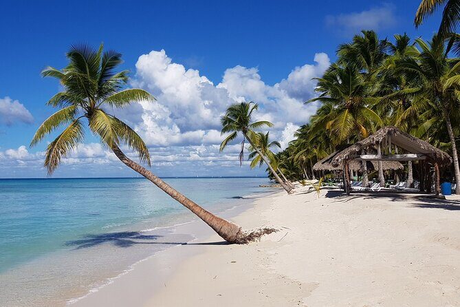 Full Day Tour Saona Island by speedboat from Punta Cana - FAQs