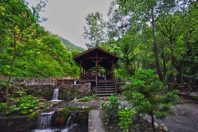 Full Day Tour Sapanca and Masukiye from Istanbul - Pricing and Value