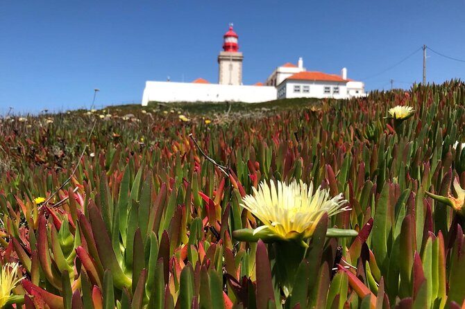 Full Day Tour: Sintra, Pena Palace, Cabo da Roca, Cascais - FAQ