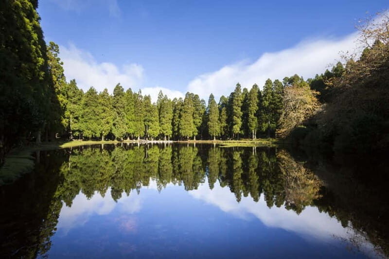Full-day tour: The best of Terceira Island - FAQs