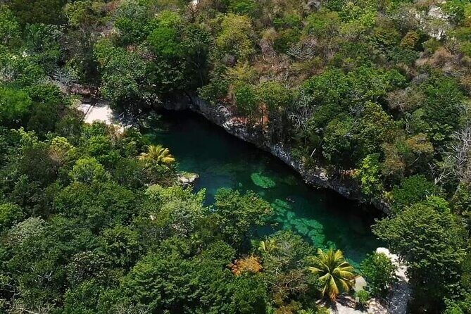 Full Day Tour to 5 Magical Cenotes in the Riviera Maya - In-Depth Review: Exploring the Riviera Maya’s Cenotes and More