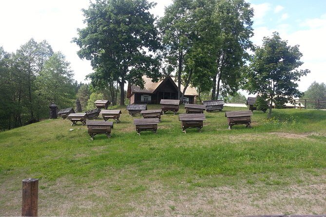 Full-Day Tour to Aukstaitija National Park from Vilnius - Key Points
