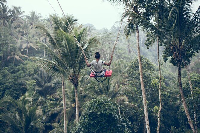 Full day Tour to Best of Ubud with jungle swing - Who Will Enjoy This Tour?