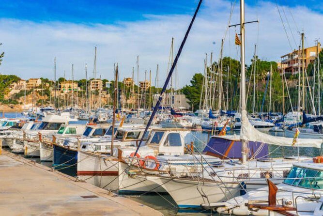Full-day Tour to Drach Caves and Portocristo Town - FAQ