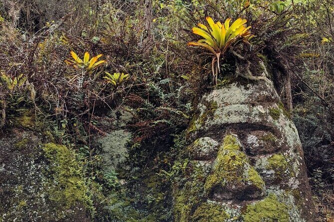 Full-Day Tour to Floreana Island & Cave of Pirates - FAQ