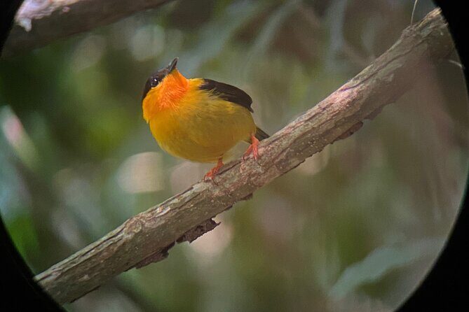 Full Day Tour to Hacienda Baru and Nauyaca Waterfalls - Why This Tour Stands Out
