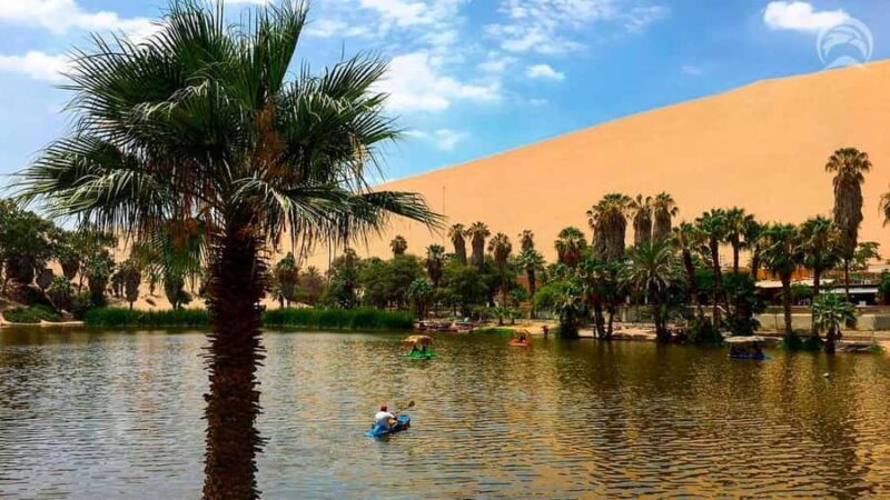 Full day tour to Huacachina and Paracas - Practical Tips for Your Trip
