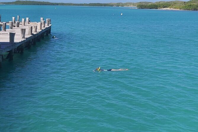 Full Day Tour to Isla Contoy and Isla Mujeres from Cancun - The Sum Up: Who Is This Tour Best For?