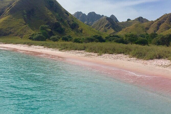 Full Day Tour to Komodo Island By Speed Boat to explore 6 destinations - Frequently Asked Questions