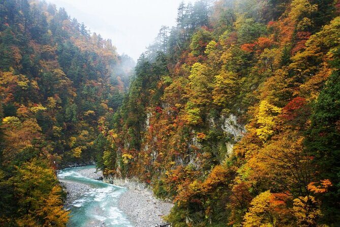 Full Day Tour to Kurobe Gorge and Unazuki Onsen from Kanazawa - Key Points