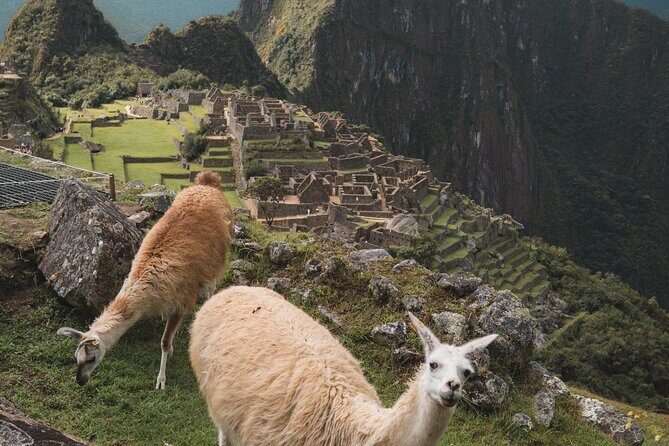 Full Day Tour to Machu Picchu - Key Points