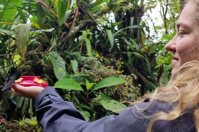 Full Day Tour to Mindo with Friends! (English) - FAQ: Common Practical Questions