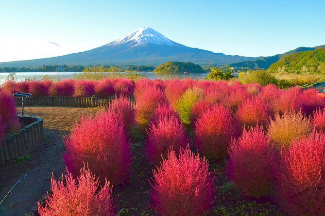 Full Day Tour to Mount Fuji in Spanish - FAQs