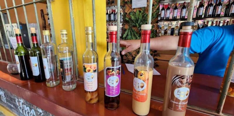 Full-Day Tour to Paracas, Vineyards and Huacachina - In-Depth Review of the Tour Experience