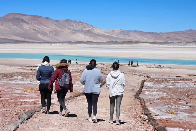 Full Day Tour to Piedras Rojas, Altiplanic Lagoons and Chaxa - An In-Depth Look at the Full Day Tour to Piedras Rojas, Altiplanic Lagoons, and Chaxa