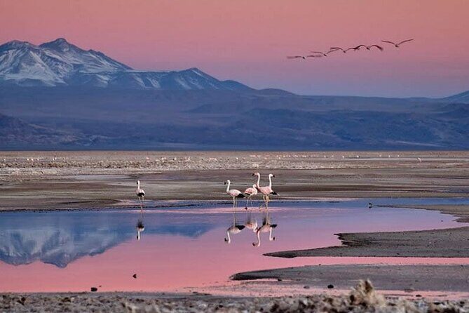 Full day tour to Piedras Rojas with Lunch - Key Points