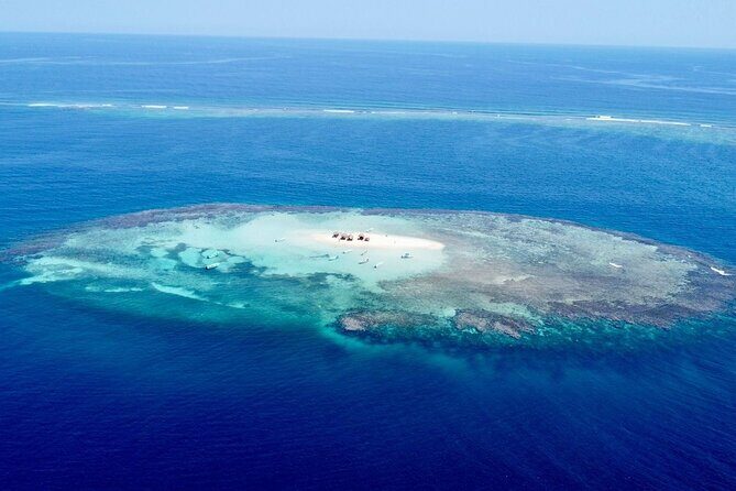 Full-Day Tour to Punta Rucia and Cayo Arena with Snorkeling - What Travelers Are Saying