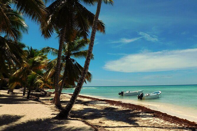Full Day Tour to Saona Island by Catamaran and Speedboat - A Practical Guide to the Saona Island Tour