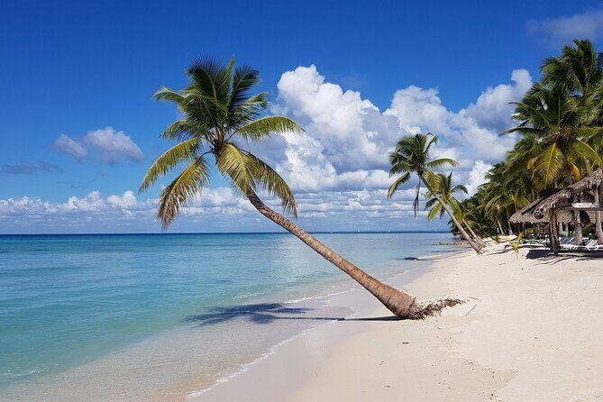 Full-Day Tour to Saona Island from Bayahibe with Lunch - Key Points