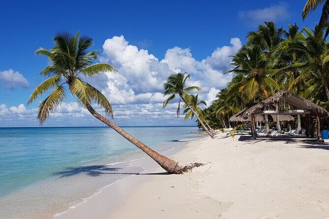 Full-Day Tour to Saona Island from Uvero Alto with Lunch - Who Will Enjoy This Tour?