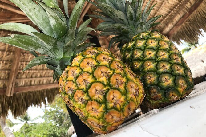 Full-Day Tour to Saona Island from Uvero Alto with Lunch - Authentic Experiences and Traveler Insights