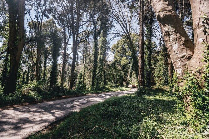Full-Day Tour to Sintra and Cascais - Authentic Perspectives from Past Travelers