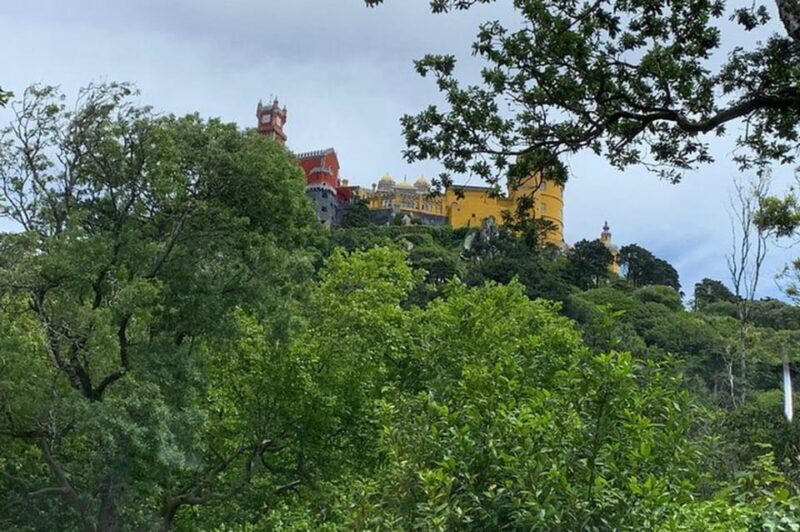Full Day Tour to Sintra with Pena Palace and Quinta da Regaleira - Why Choose This Tour? A Deep Dive