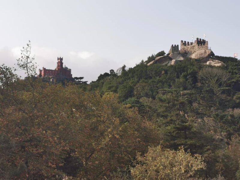 Full Day Tour to Sintra with Pena Palace and Quinta da Regaleira - Practical Details and Tips