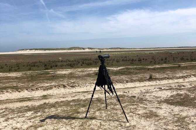Full day tour to Texel - Friesian Islands - from Amsterdam - FAQ: Your Questions About the Texel Full-Day Tour