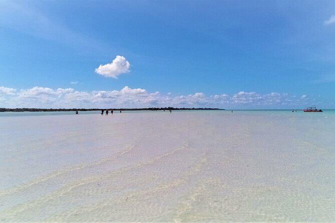 Full Day Tour to the Best of Holbox - What You Can Expect: The Value and the Experience