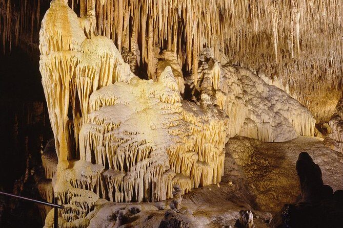 Full day tour to the Caves of Drach and Caves of Hams in Mallorca - Who Will Love This Tour?