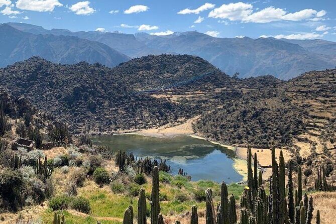 Full Day Tour to the Colca Canyon - Who Would Benefit Most?
