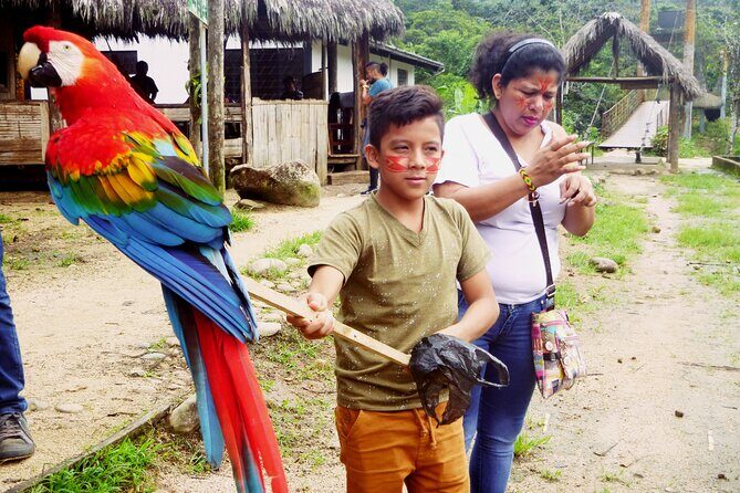 Full Day Tour to the Jungle of Puyo - Authentic Experiences and Genuine Insights