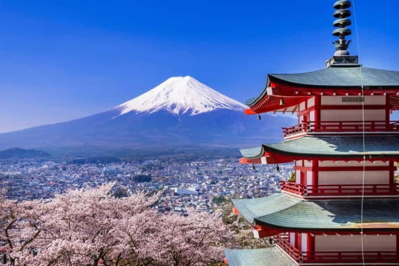 Full-Day Tour to the Picturesque Spots of Mount Fuji - Authentic Experiences and Real Traveler Insights