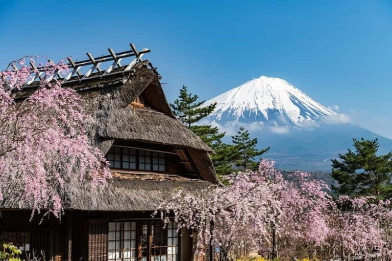 Full-Day Tour to the Picturesque Spots of Mount Fuji - Final Thoughts: Is This Tour Worth It?