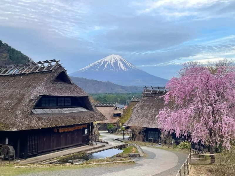 Full-Day Tour to the Picturesque Spots of Mount Fuji - Frequently Asked Questions