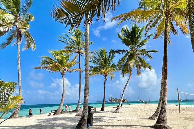 Full Day Tour to the San Blas Islands - Key Points