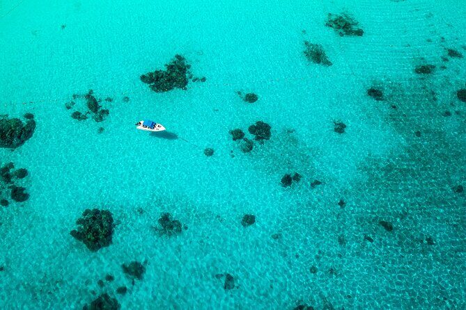 Full-day Tour to the Similan Islands by Speedboat from Khao Lak - Final Thoughts