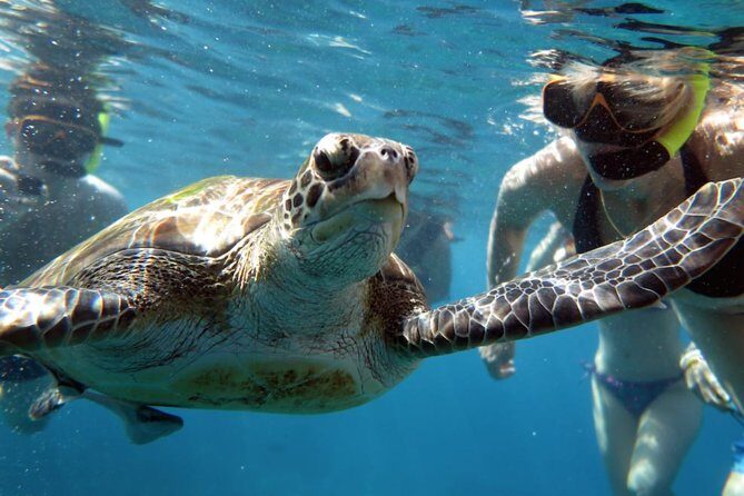 Full-day Tour to the Similan Islands by Speedboat from Khao Lak - FAQ