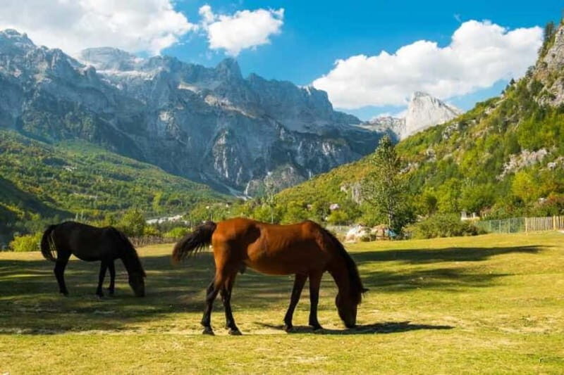 Full day tour to Theth from Tirana,Durres and Shkoder - Authenticity and Value