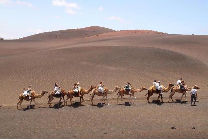 Full Day Tour to Timanfaya, Green Lagoon and La Geria - The Surreal Beauty of El Lago Verde