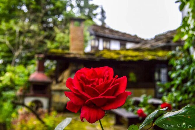 Full-Day Tour to Veliko Tarnovo Reserve of Bozhentsi and Etar from Sofia - Final Thoughts